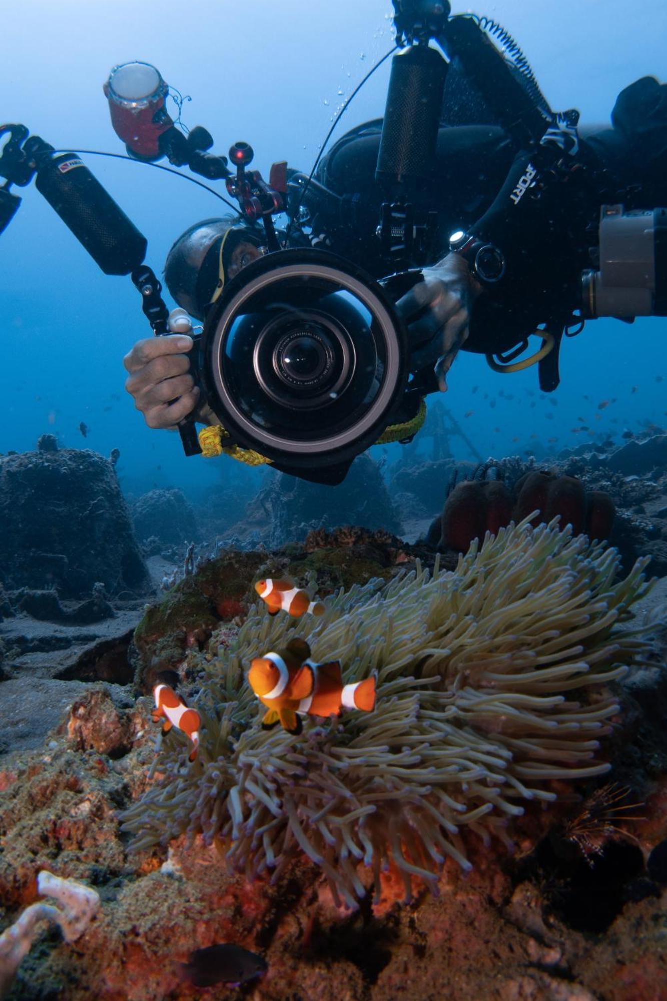 Vitaminsea Room Dauin Exterior foto