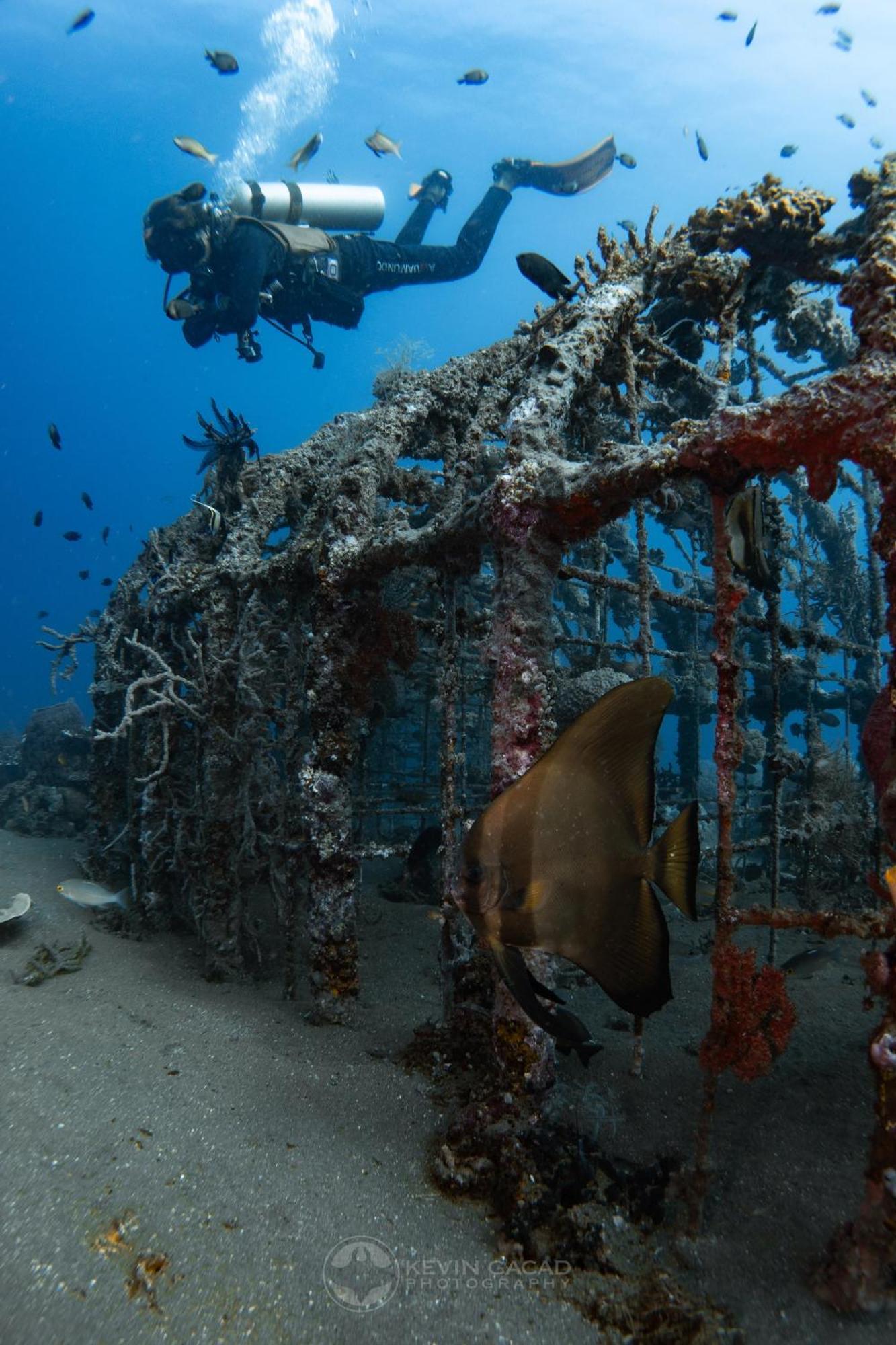 Vitaminsea Room Dauin Exterior foto