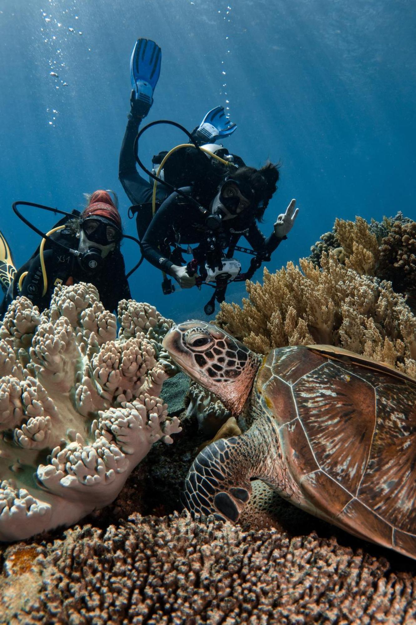 Vitaminsea Room Dauin Exterior foto